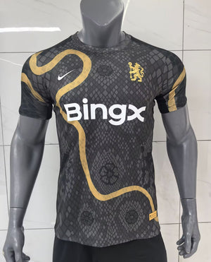 Chelsea 25/26 Grey Snake T-shirt